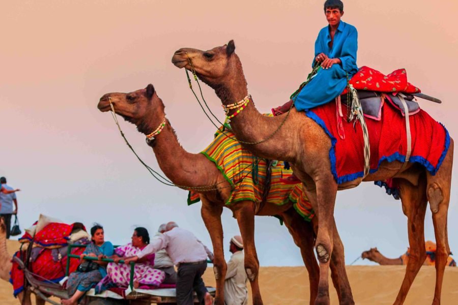 Desert Safari Adventure