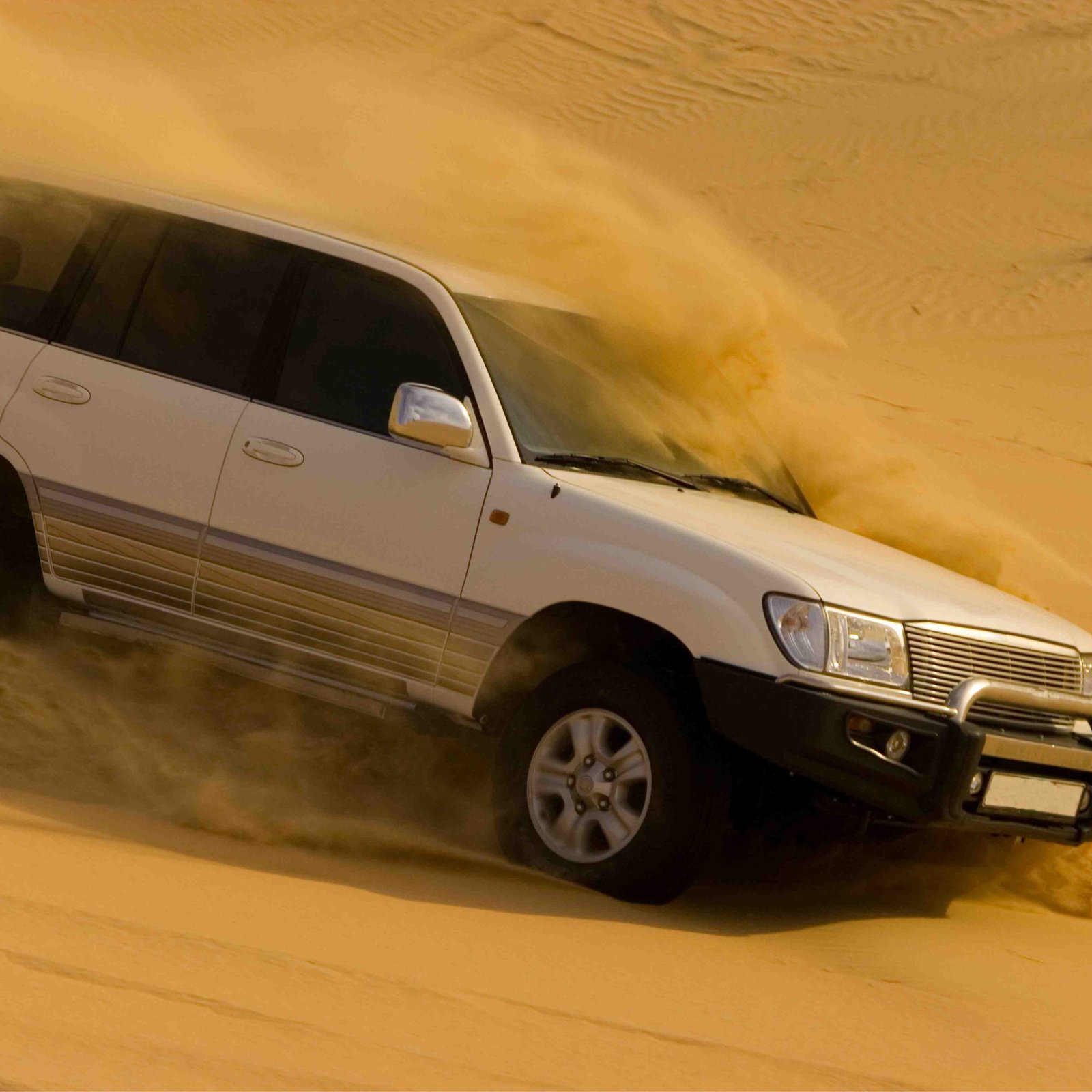 Day 2: Exclusive Desert Safari with Private Guide 