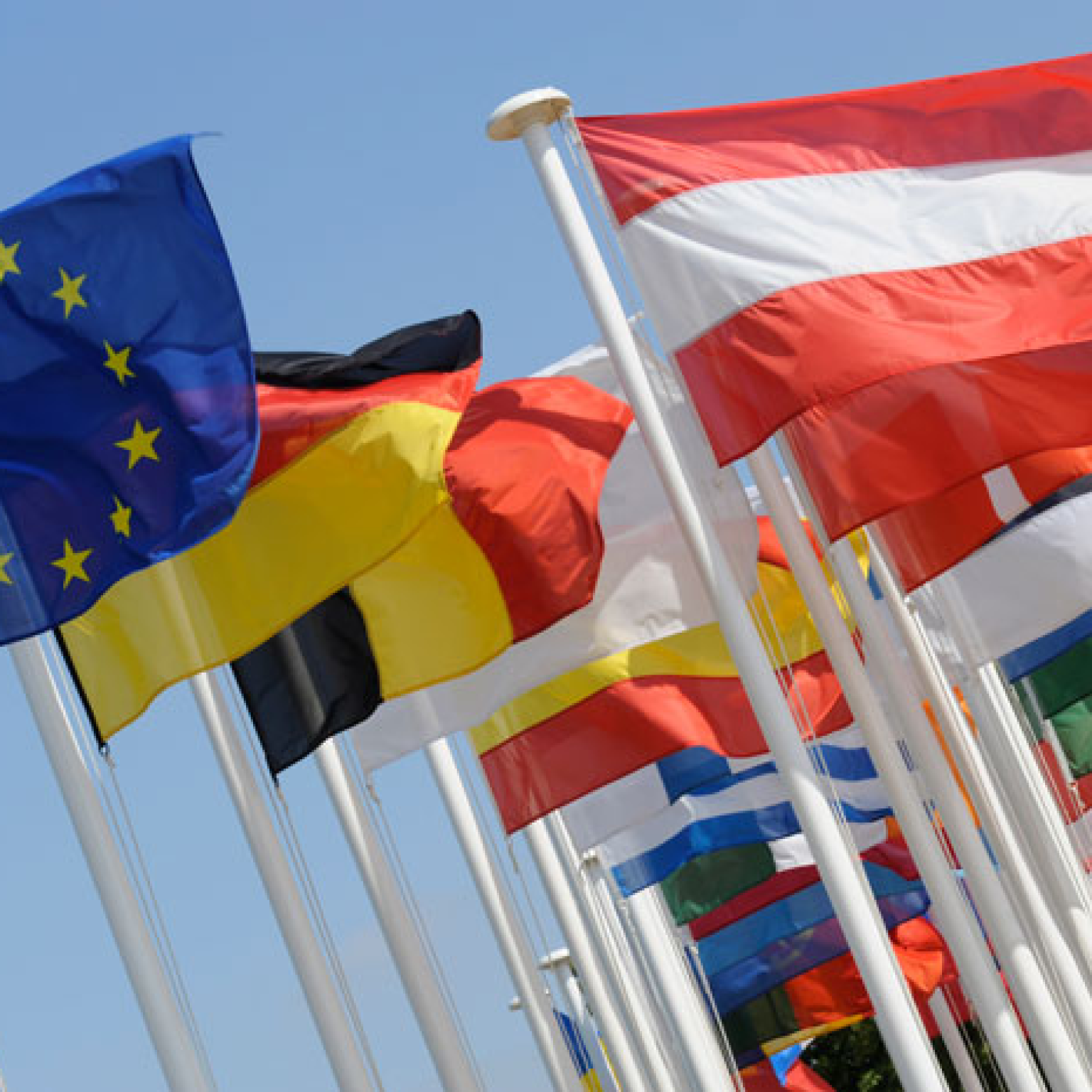 image_2026-03-02_180955634