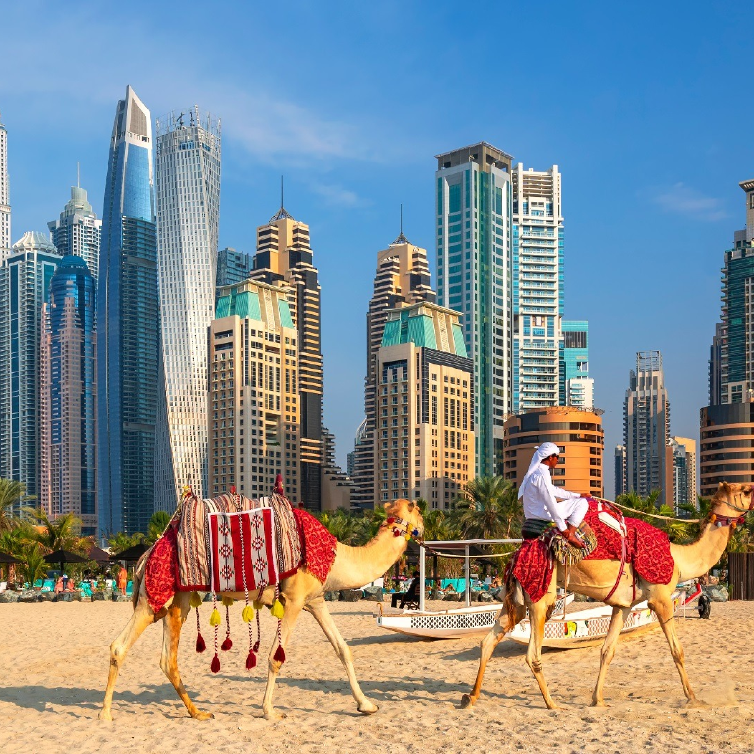 image_2026-03-02_181157172